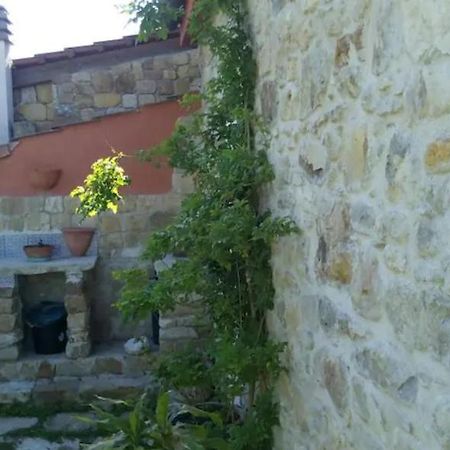 Apartmán Rustico Zagara Buseto Palizzolo Exteriér fotografie